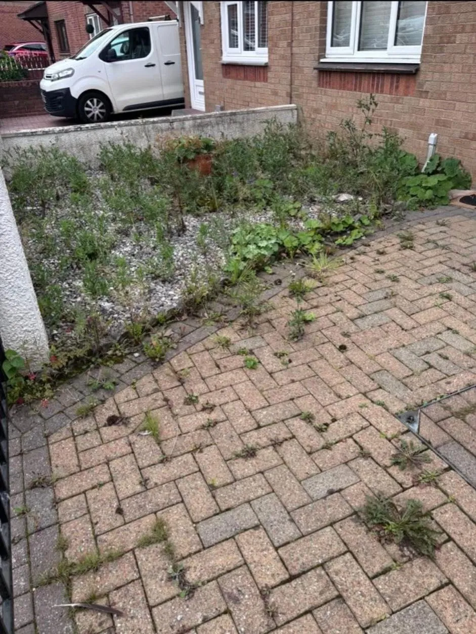 Grass Cutting Glasgow