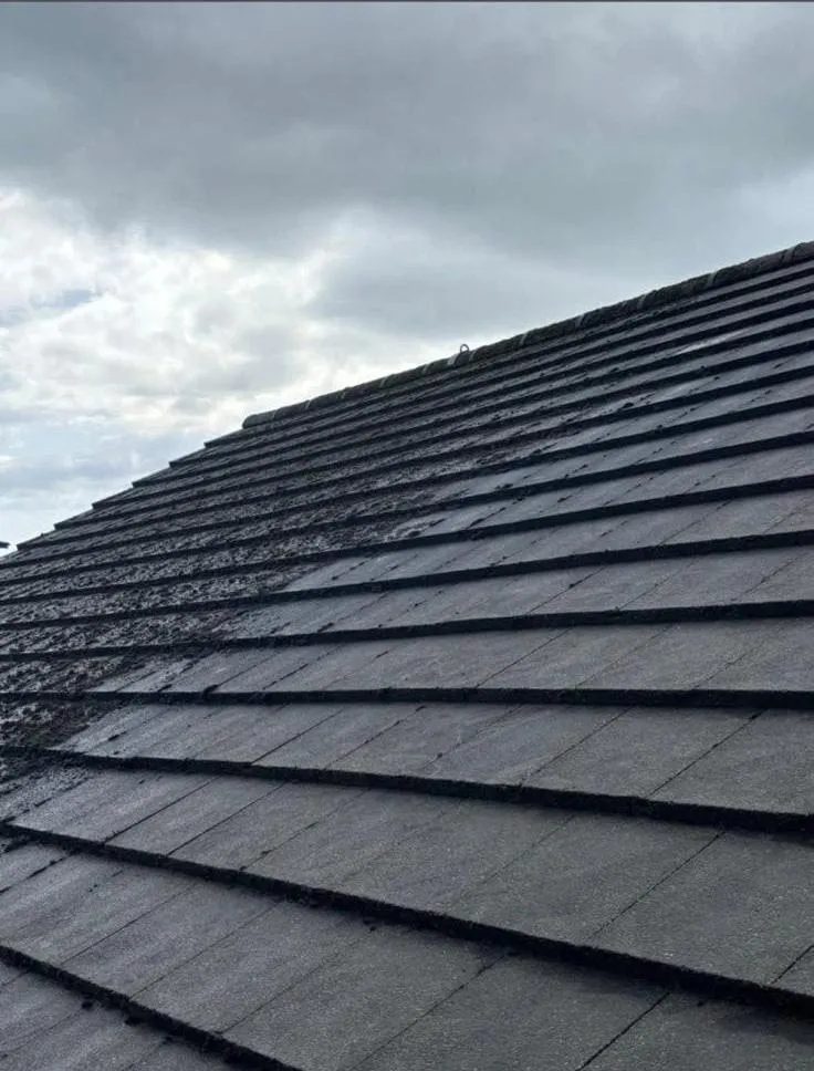 Graffiti Removal Glasgow