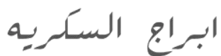 Prime Dyark Logo