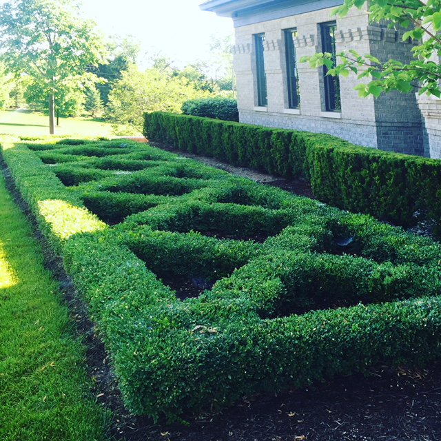 Oakland Twp Michigan Landscape Hedge Bush Design