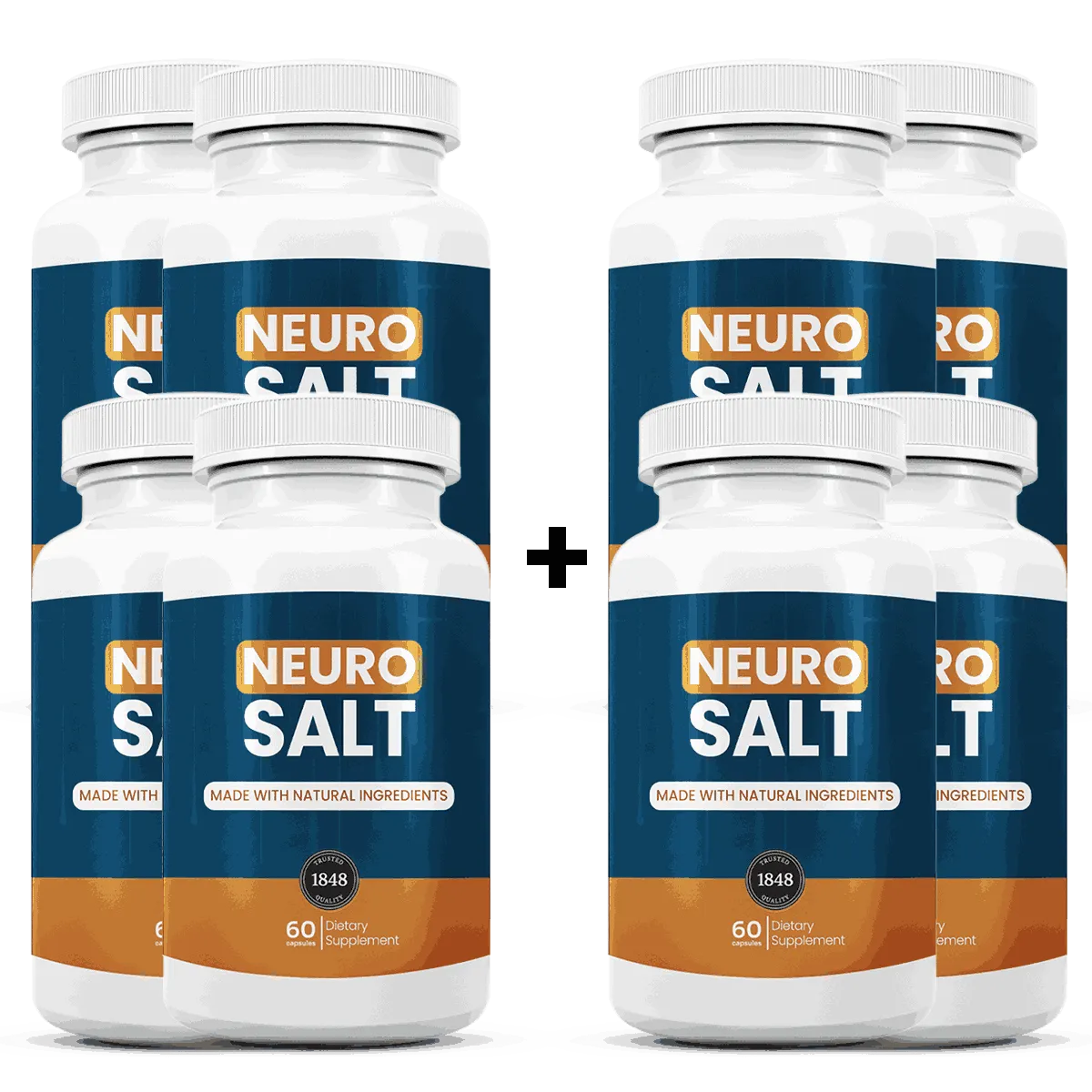 neuro-salt-official-website