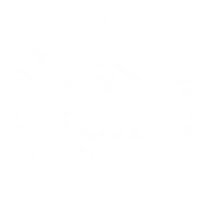 Ruiz & Nicholson Logo