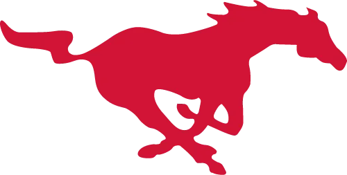 Free State Firebirds