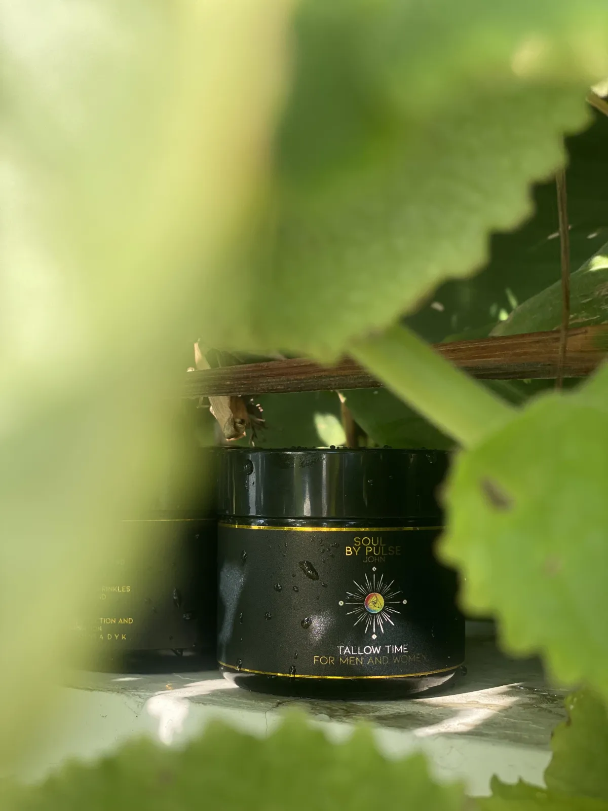 picture of the soul family of products. Body, pits, and soul. Organic hadcrafted skincare, to make you smell incredible, fight fine line and wrinkles and make you feel incredible. 