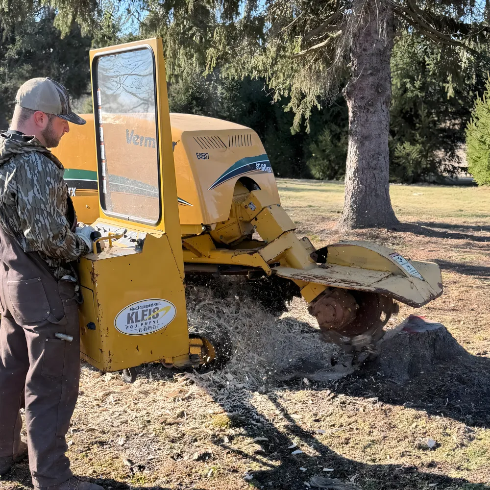 Stump grinder removing tree stump