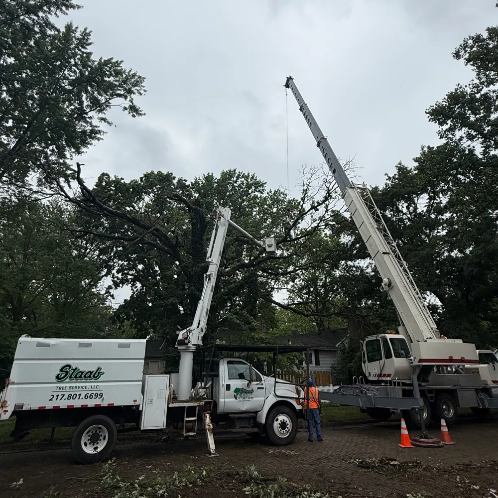Bucket truck trimming tree near home