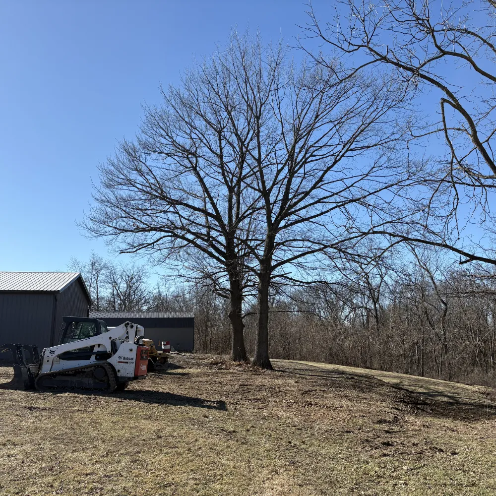 A stump grinder removing a tree stump at ground level. The rotating cutting wheel shreds wood and roots into chips. Used after tree removal to clear the area.