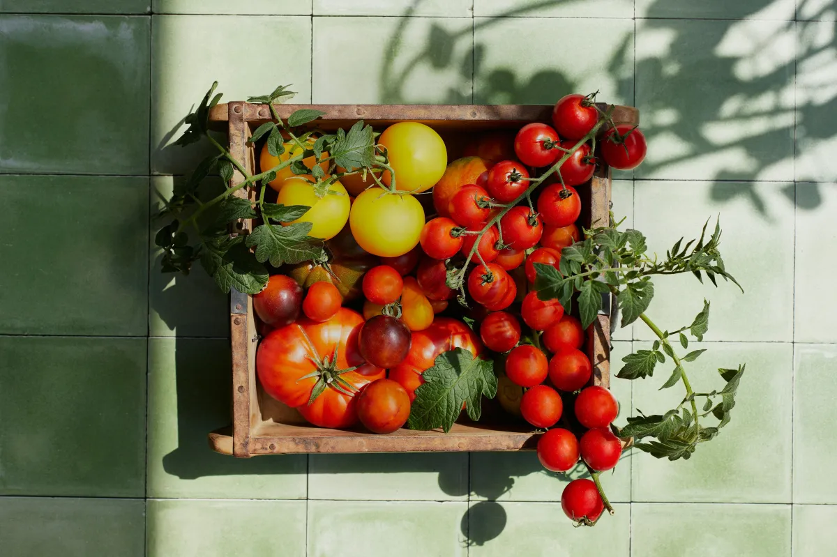 a vibrant fruit basket