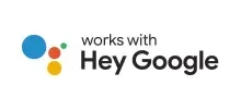 Works with Google Assistant logo
