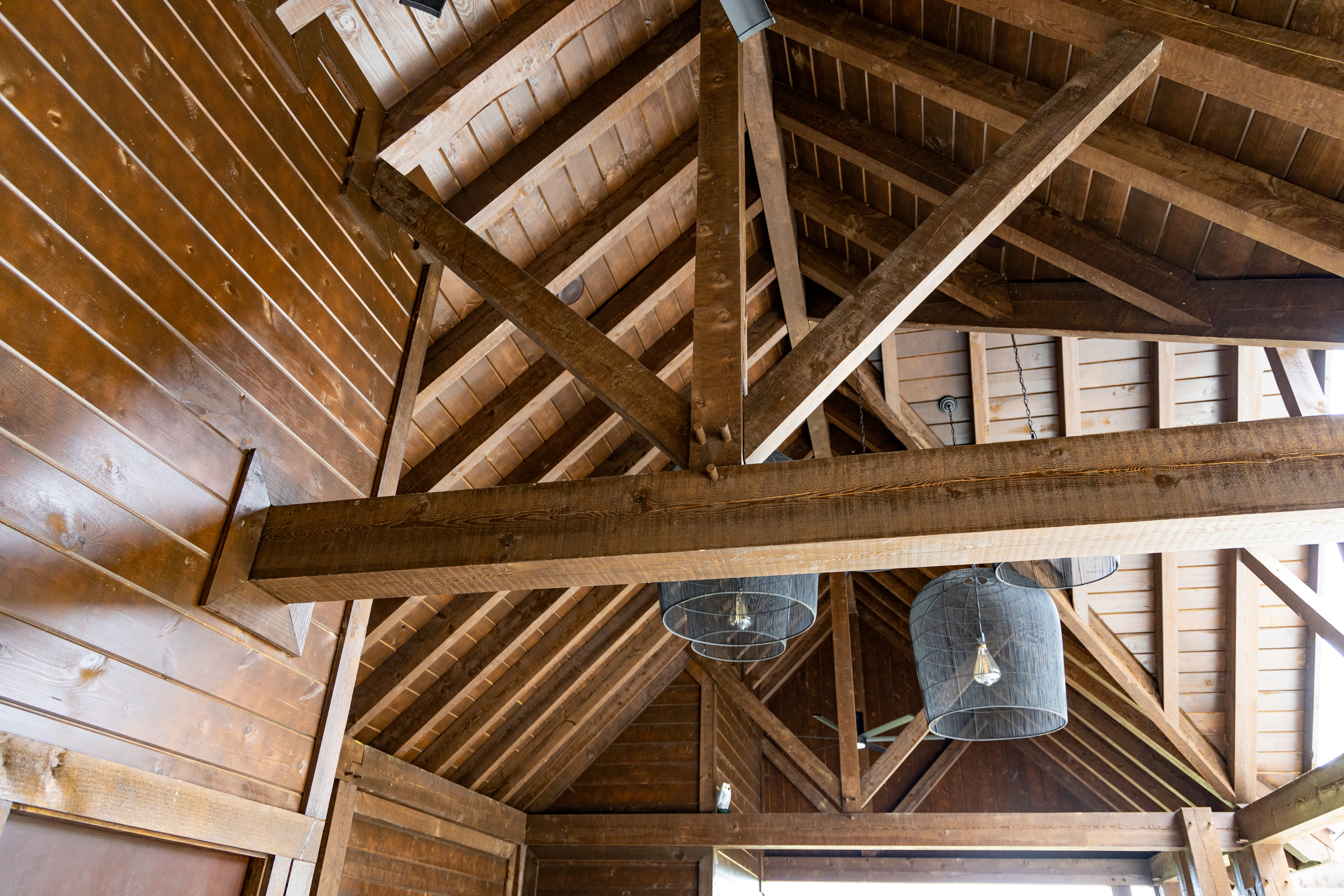 Close-up of timber-frame pavilion ceiling beams and joinery