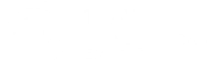 1 Day BookingKoala Expert logo