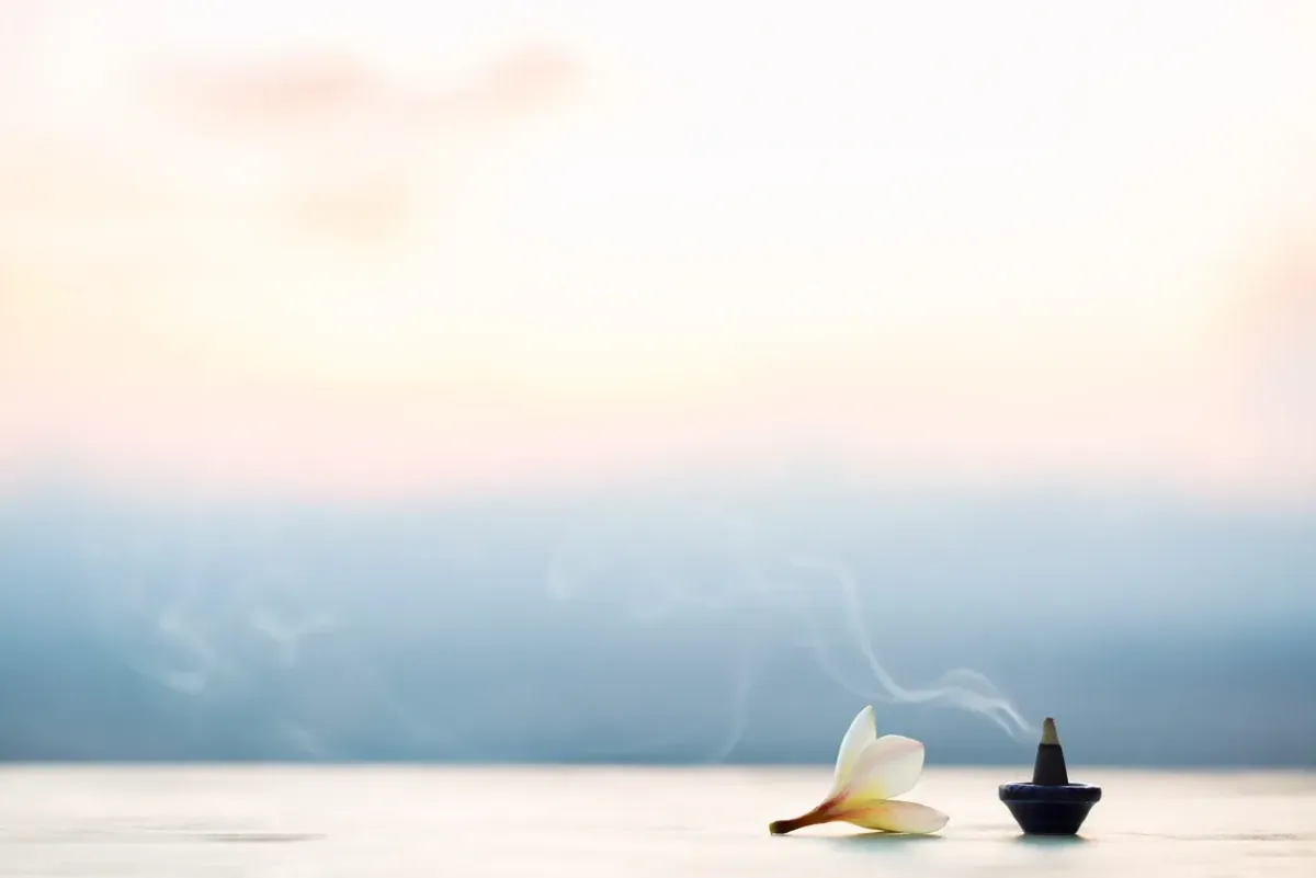 Wellness brand founder reflecting on her personal habits and wellness journey