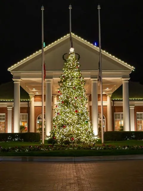 Christmas tree and landscape lighting