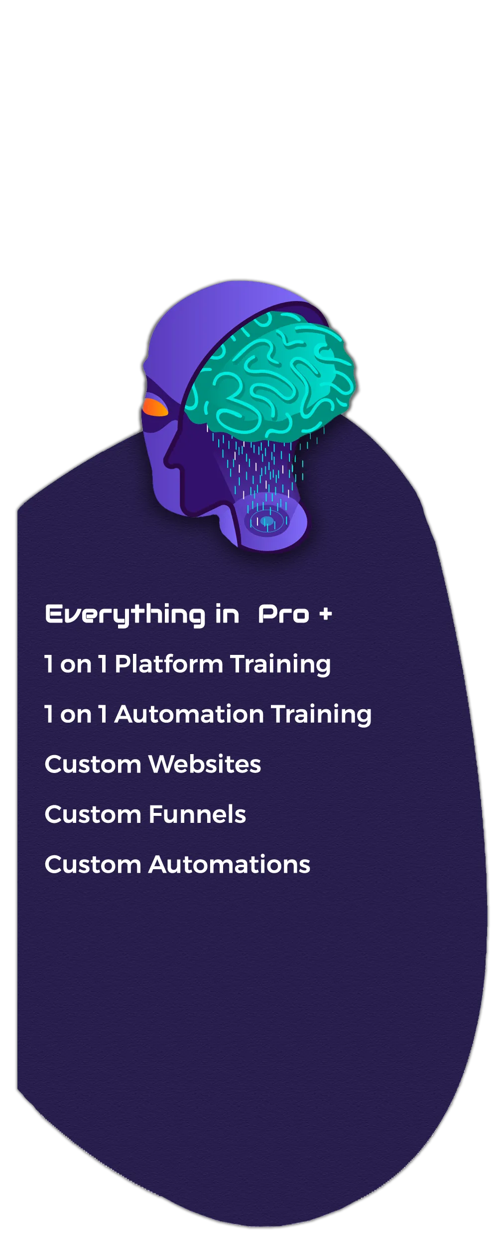 Enterprise Plan - Everything in Pro, 1 on 1 Platform Training, 1 on 1 Automation Training, Custom Websites, Custom Funnels, Custom Automations - Request A Quote