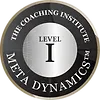 Meta Dynamics Level 1 Award