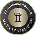 Meta Dynamics Level 2 Award
