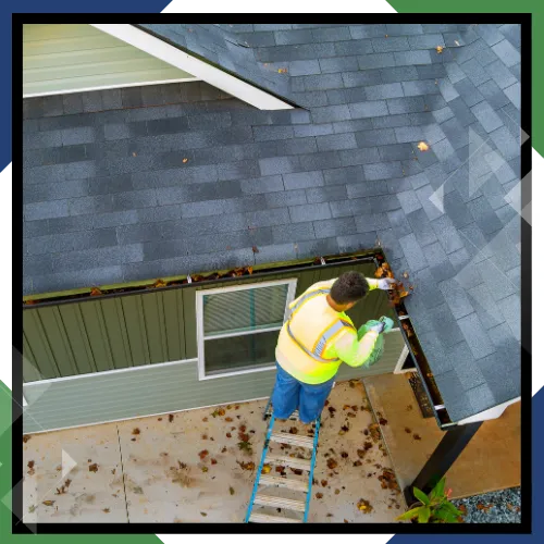 Roof Cleaning Services