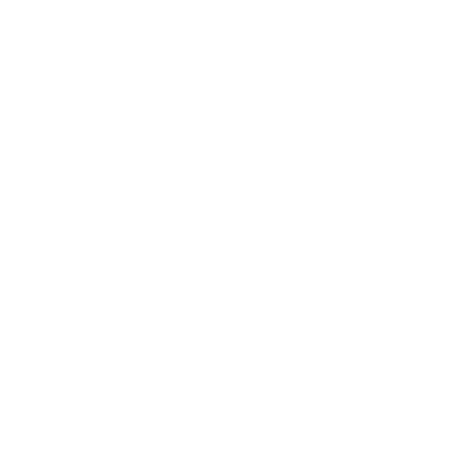 Vision