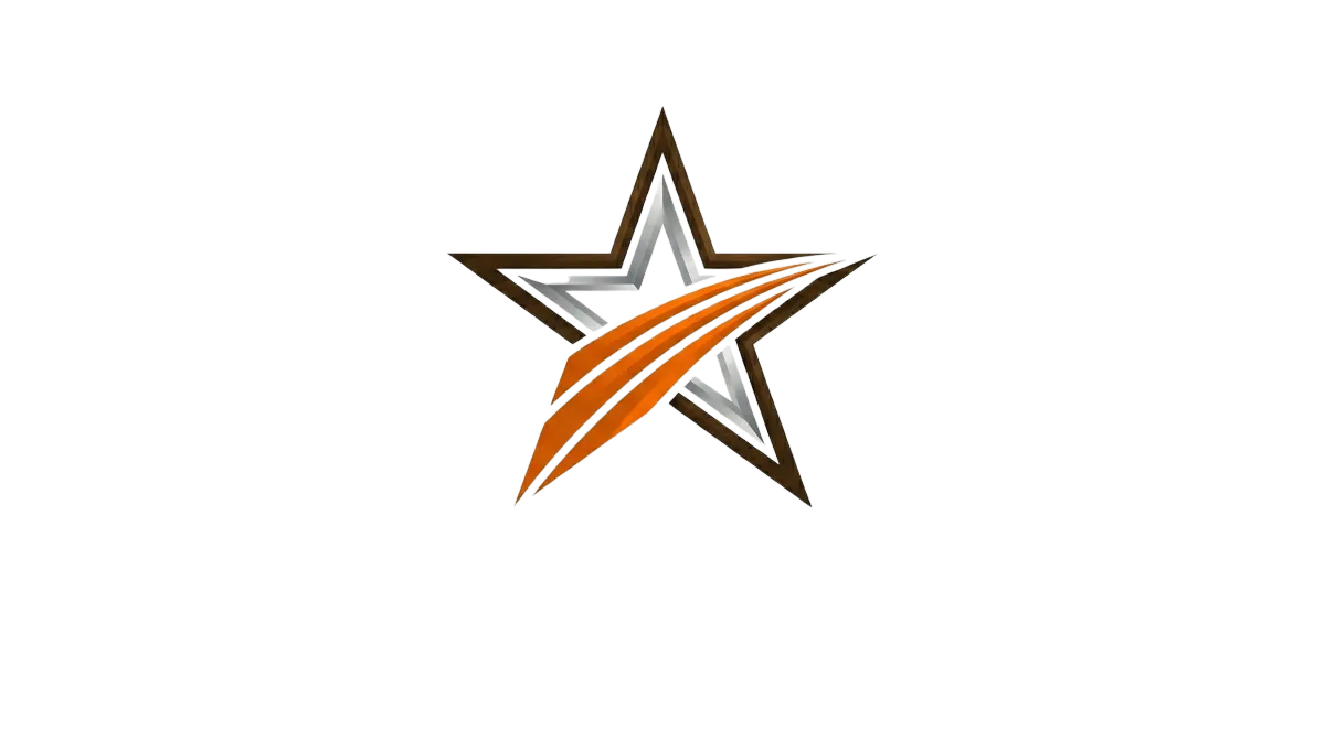 Lone star ad group image logo