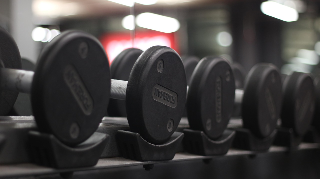 Gym Rack of Dumbbells