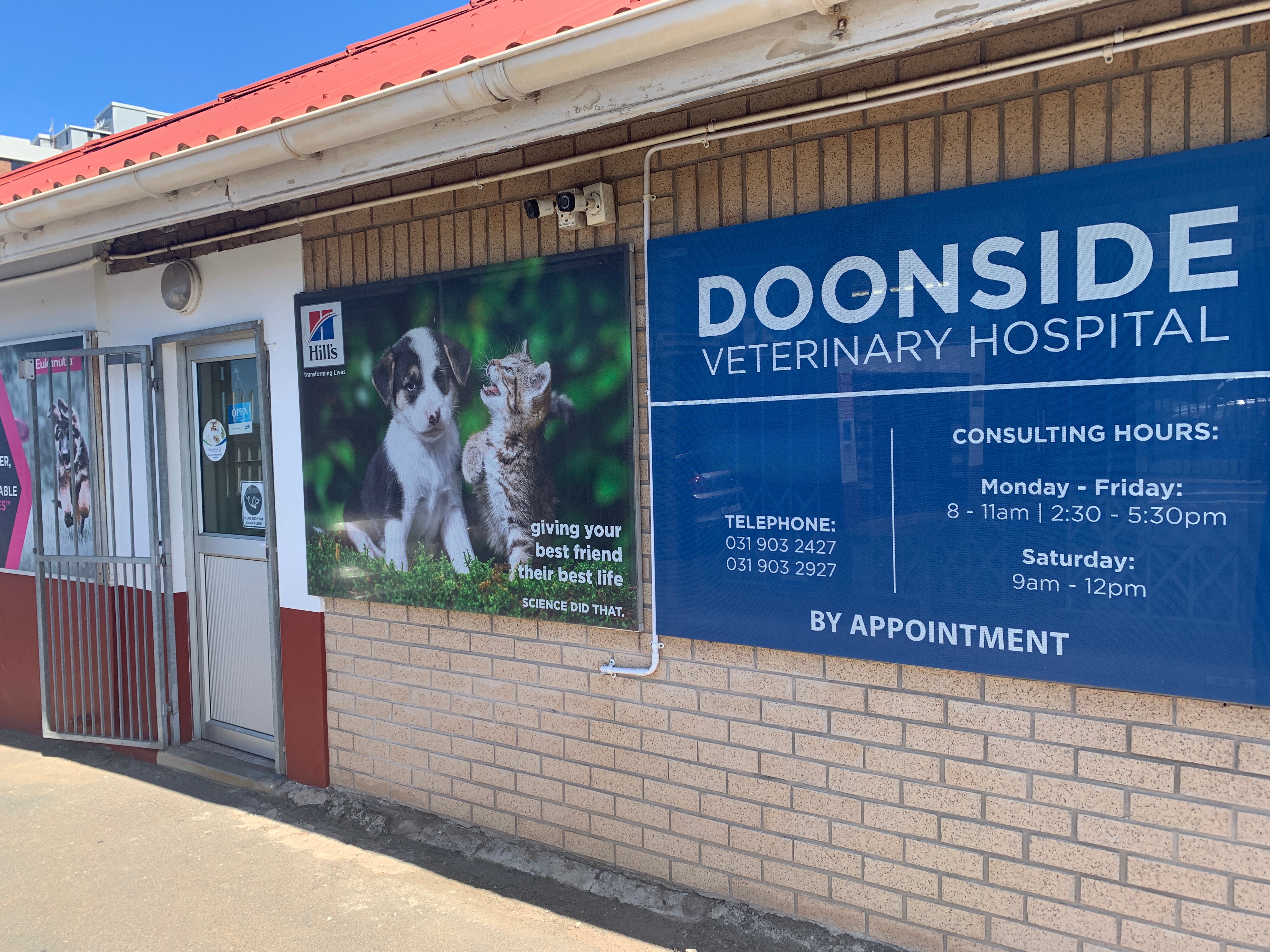 Vet gently examining a happy dog in a bright clinic