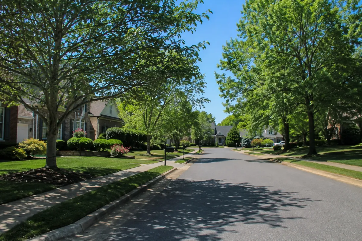 Why Ardrey Kell Zoning Drives South Charlotte Home Values