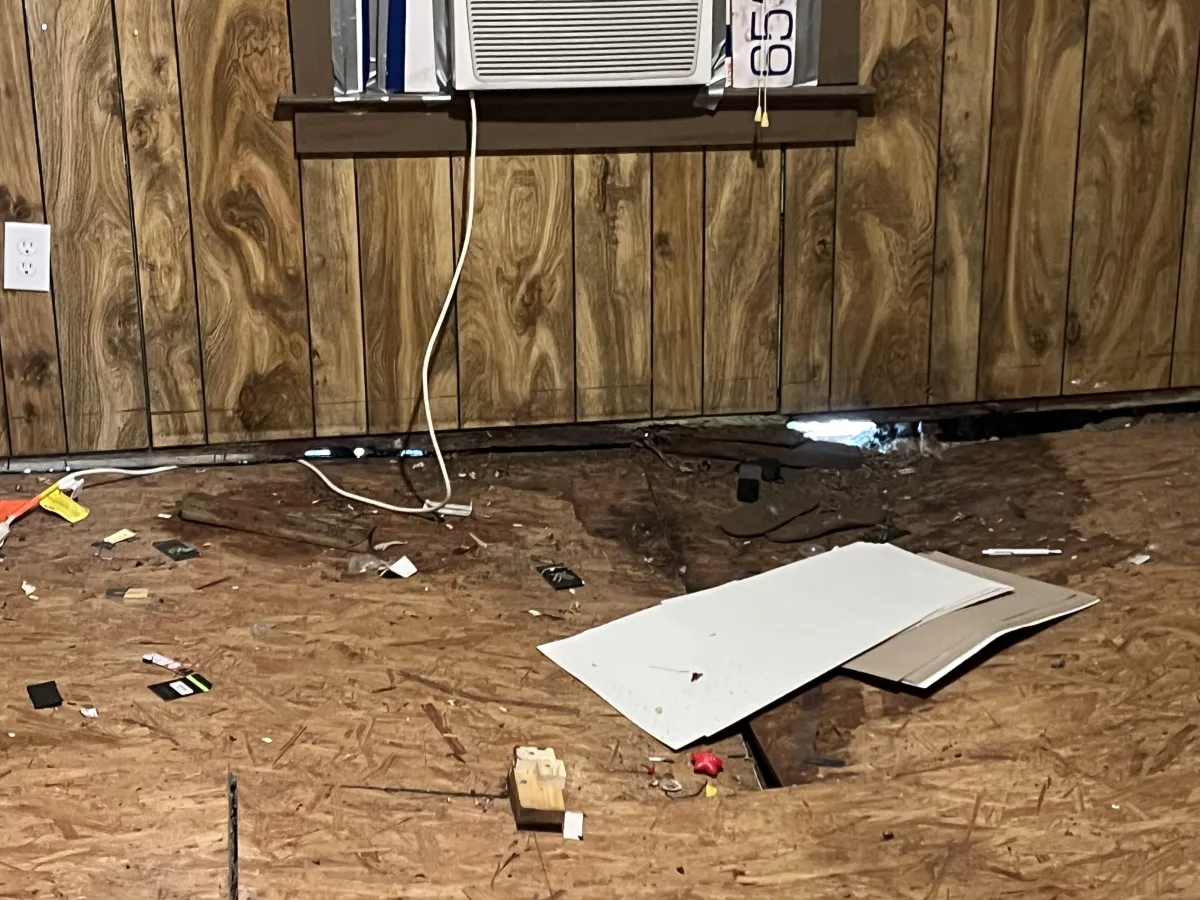 a tall building sitting next to a forest of trees