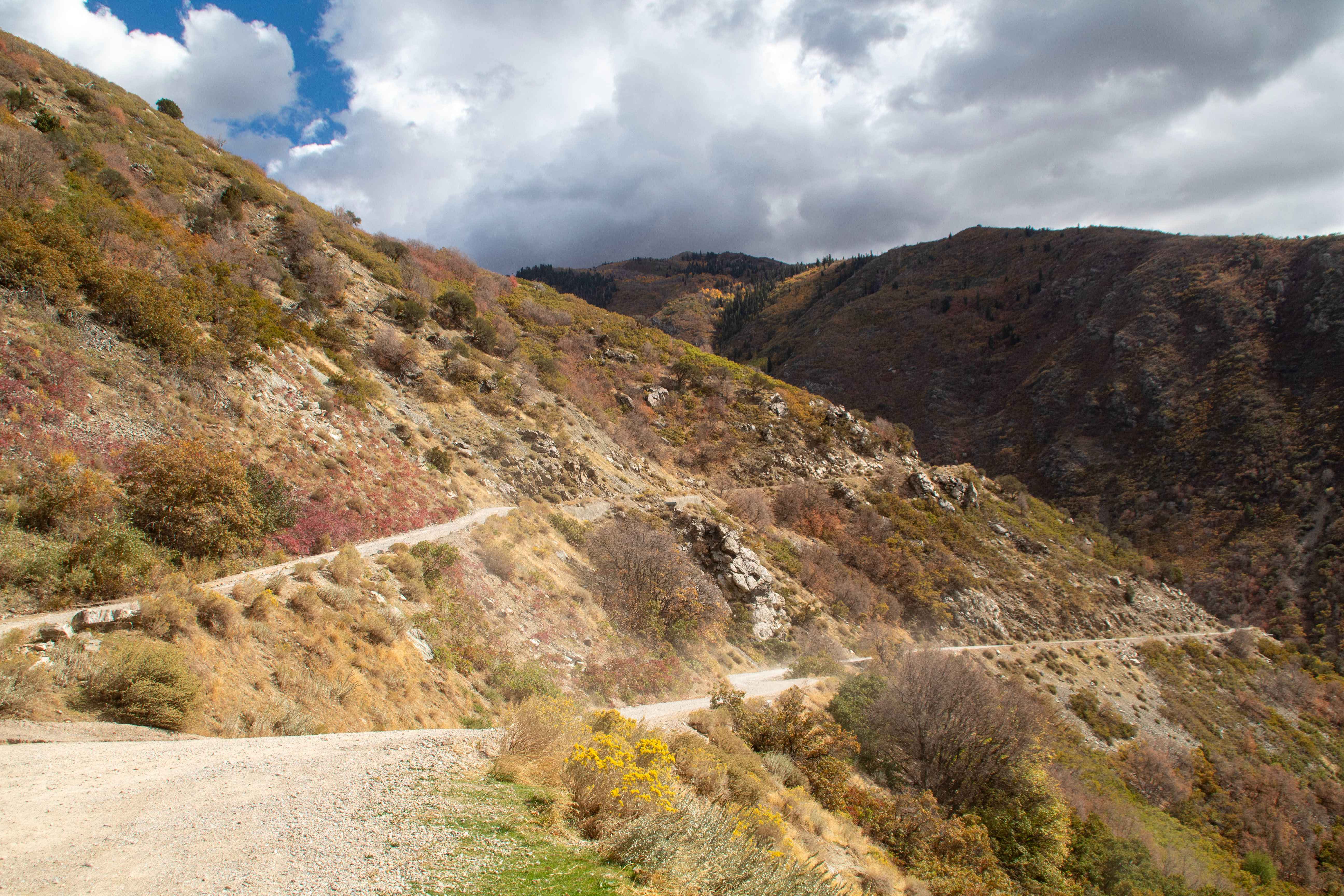  Renting a Car Near Legacy Parkway: What You Need to Know — Edge Auto Rentals, Centerville, Utah