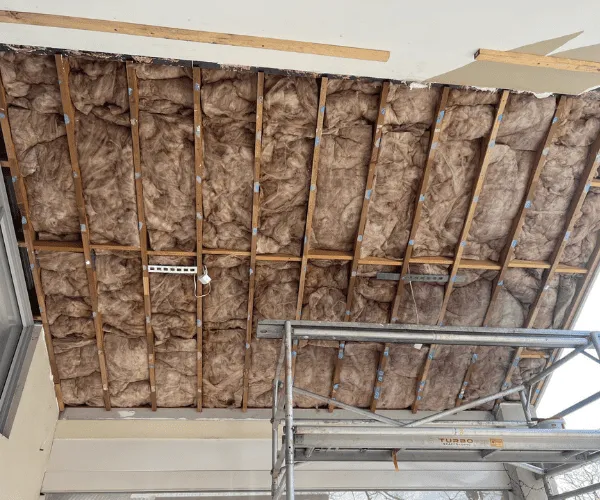 Carine Ceilings