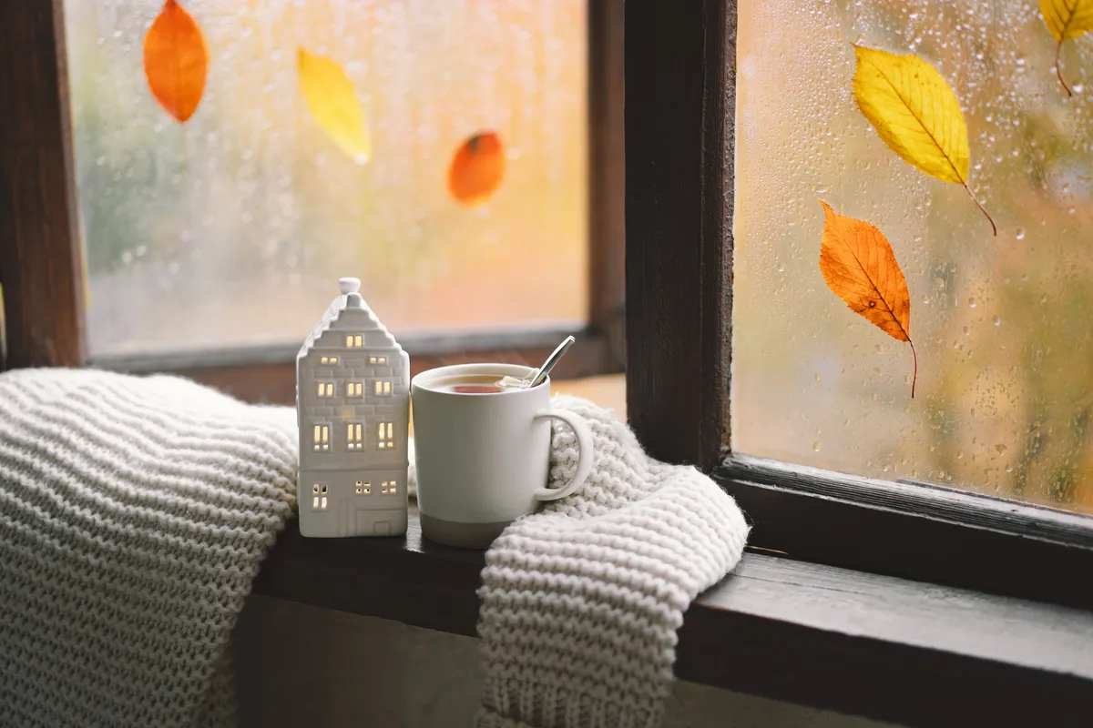 How to Prevent Mold and Moisture in Your Rental During Fall