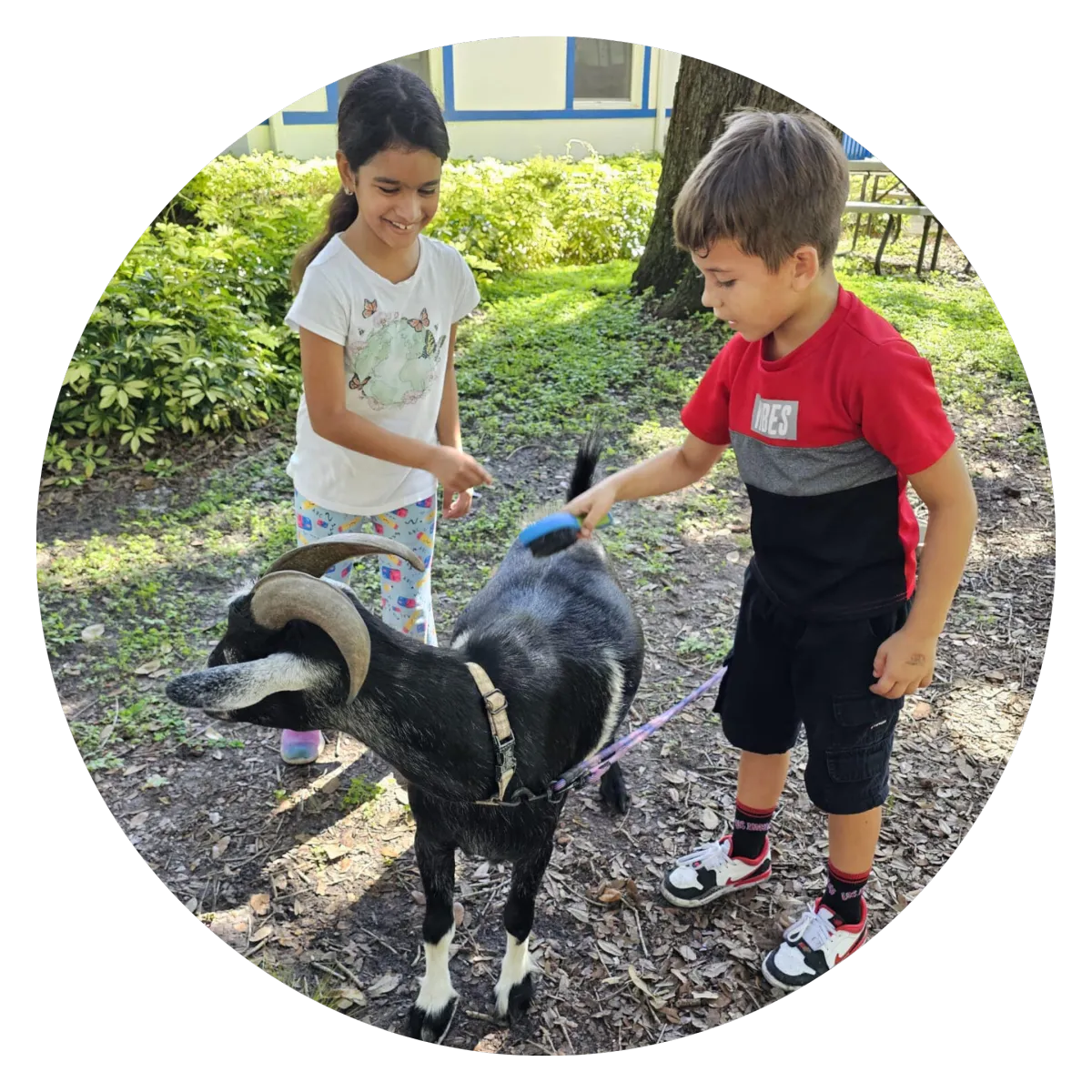 children with goat in childcare