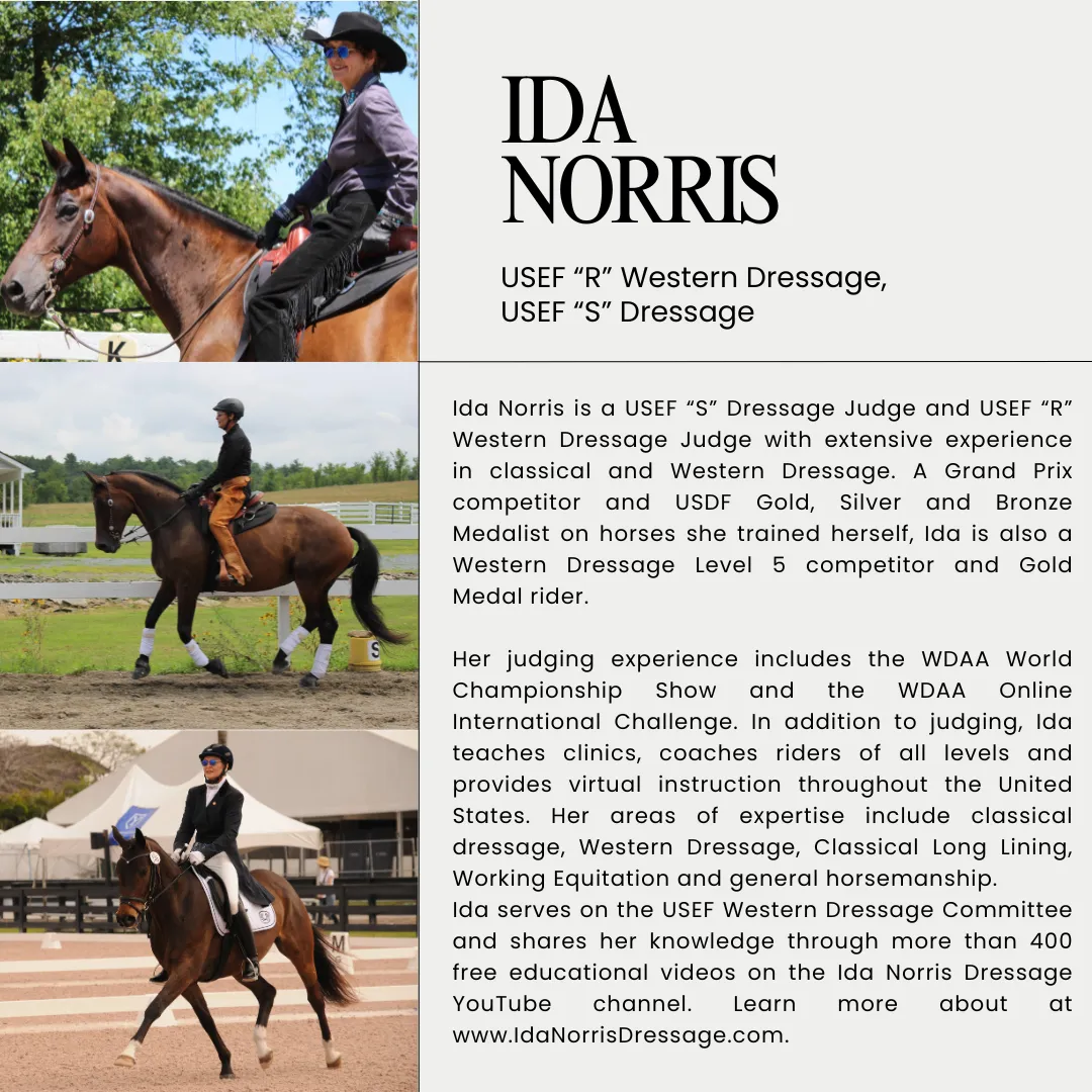 Dressage Judge