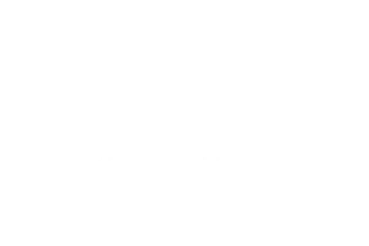 grupolenex.com