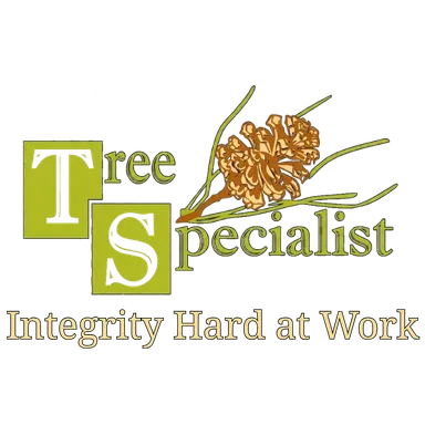 Tree Specialist Atherton