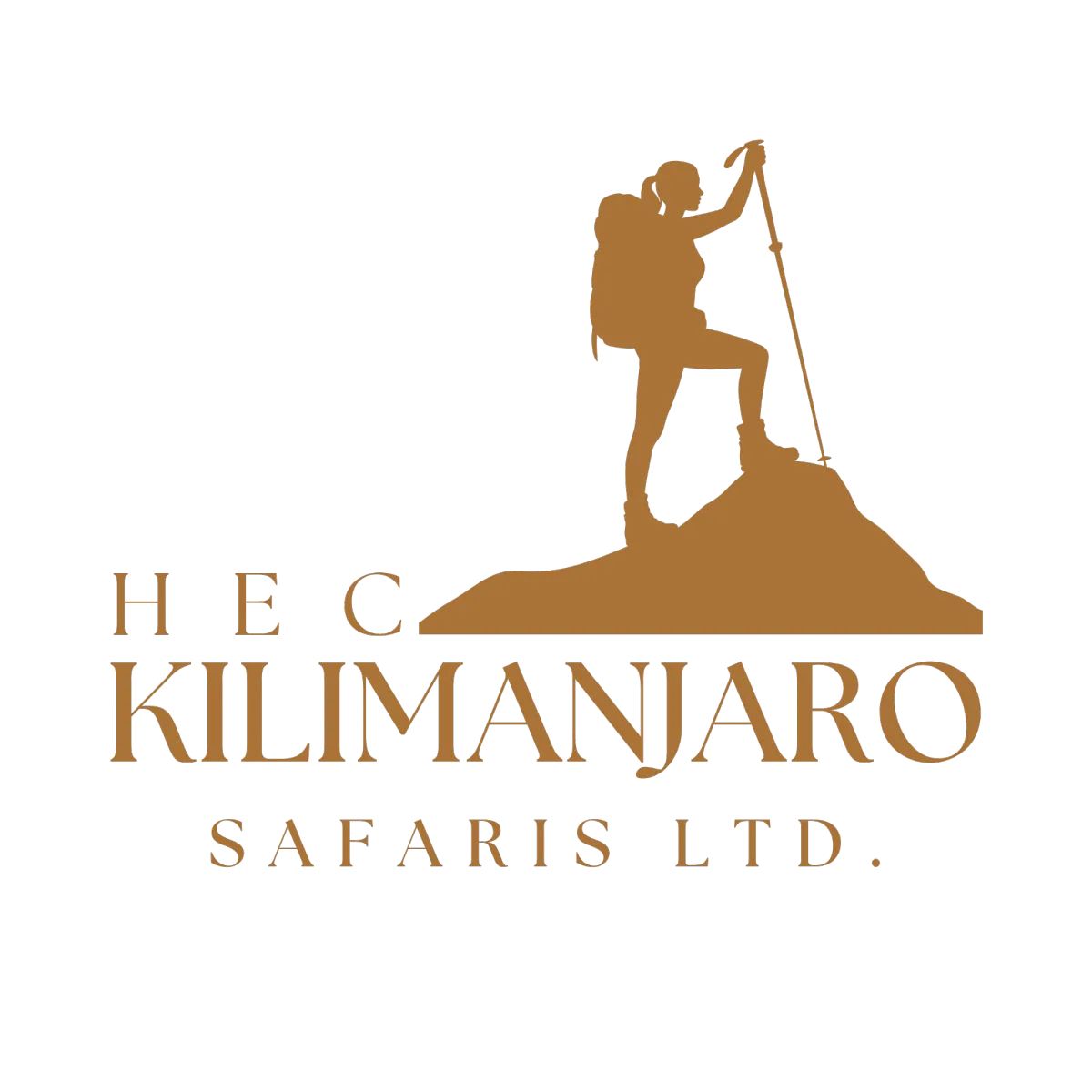 Brand Logo