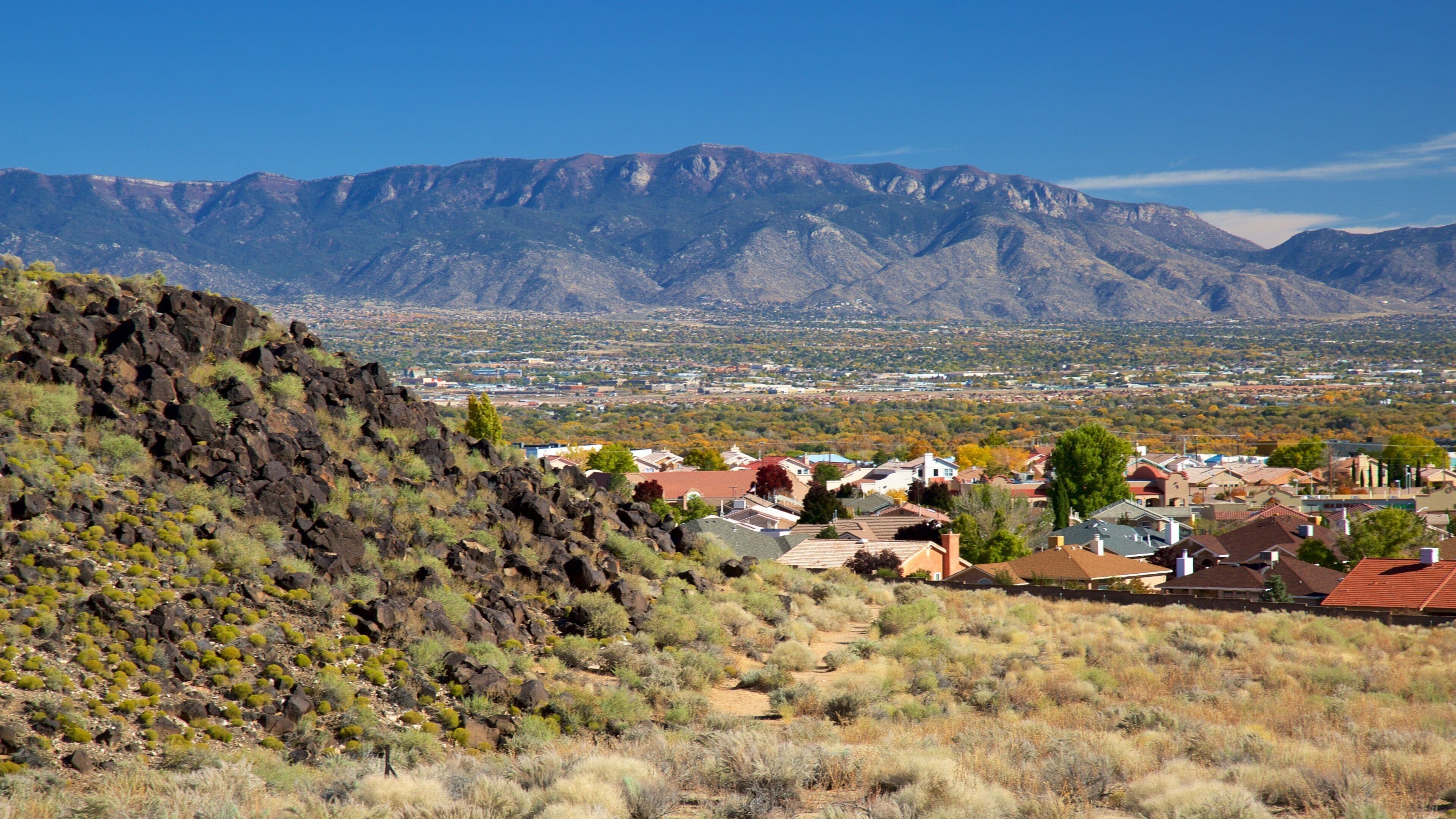 Rent a Car Albuquerque: Your Ultimate Guide to the Best Car Rental in Albuquerque, NM for Travelers & Gig Workers