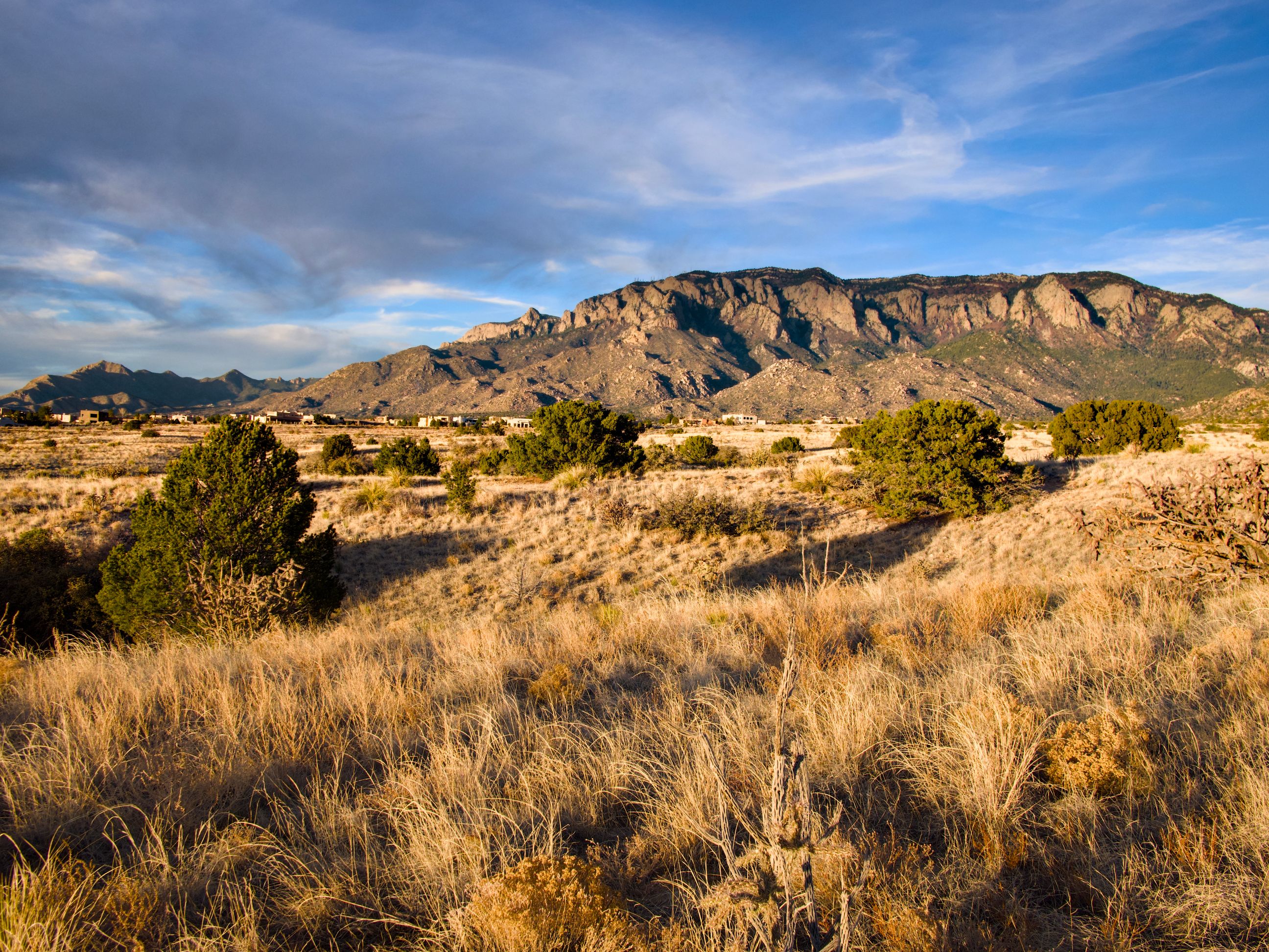 🚗 Car Rental Near Me in Albuquerque, NM: Affordable and Flexible Options for Every Traveler and Gig Worker