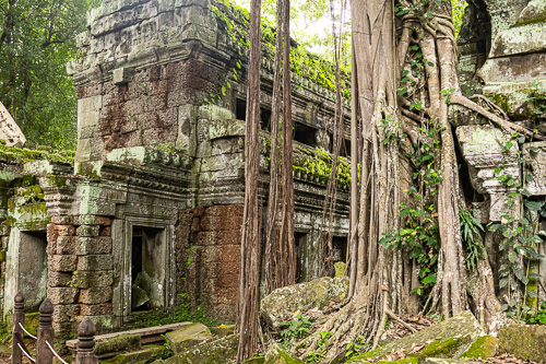 Ta Prohm temple Siem Riep - Cambodia - Van Jude Travels