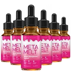 Meta Melt official website