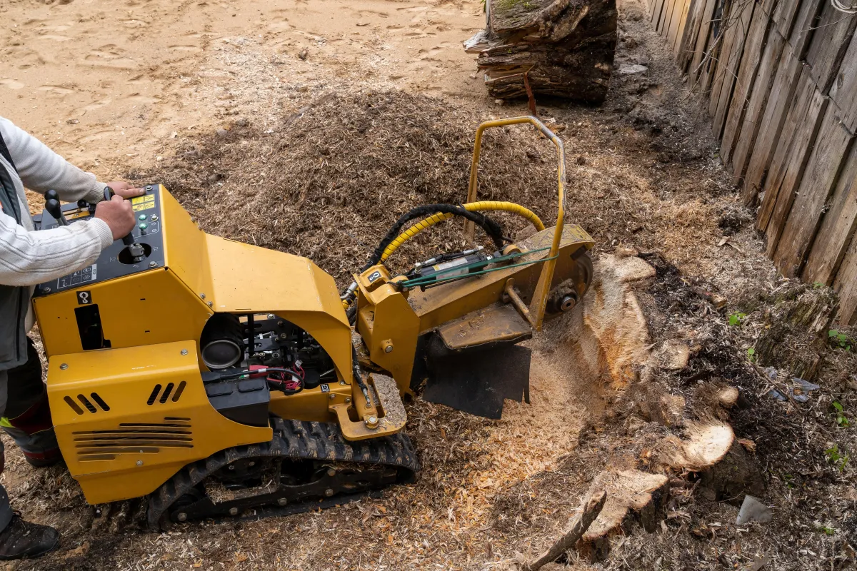 Professional stump grinding in Atlanta, showcasing skilled technicians using specialized equipment to remove a tree stump, ensuring a clean and visually appealing landscape.