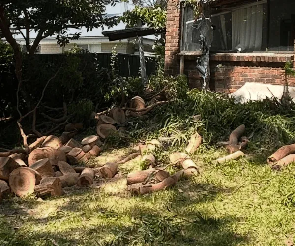 Stump Grinding Liverpool