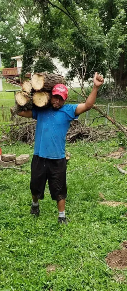 Brush Clearing & Debris Removal