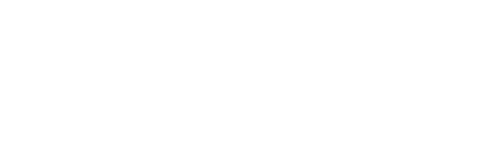 LYNK Capital logo