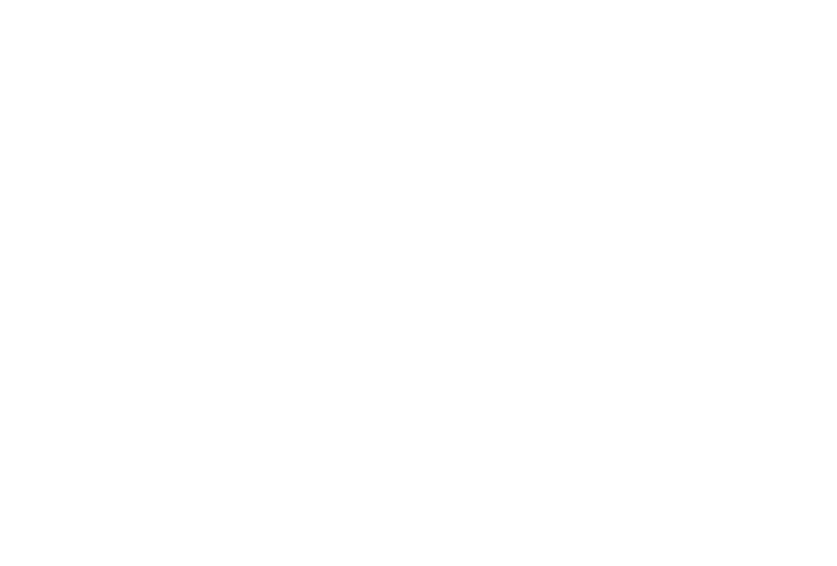 ActionCOACH