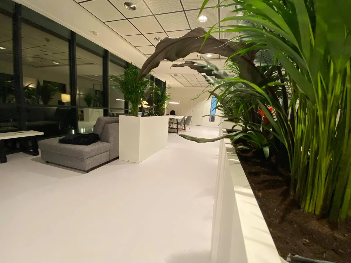 Autoriteit gebruiken in sales: 2 closing technieken die vertrouwen opbouwen