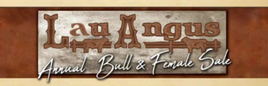 Lau Angus Annual Bull and Female Sale