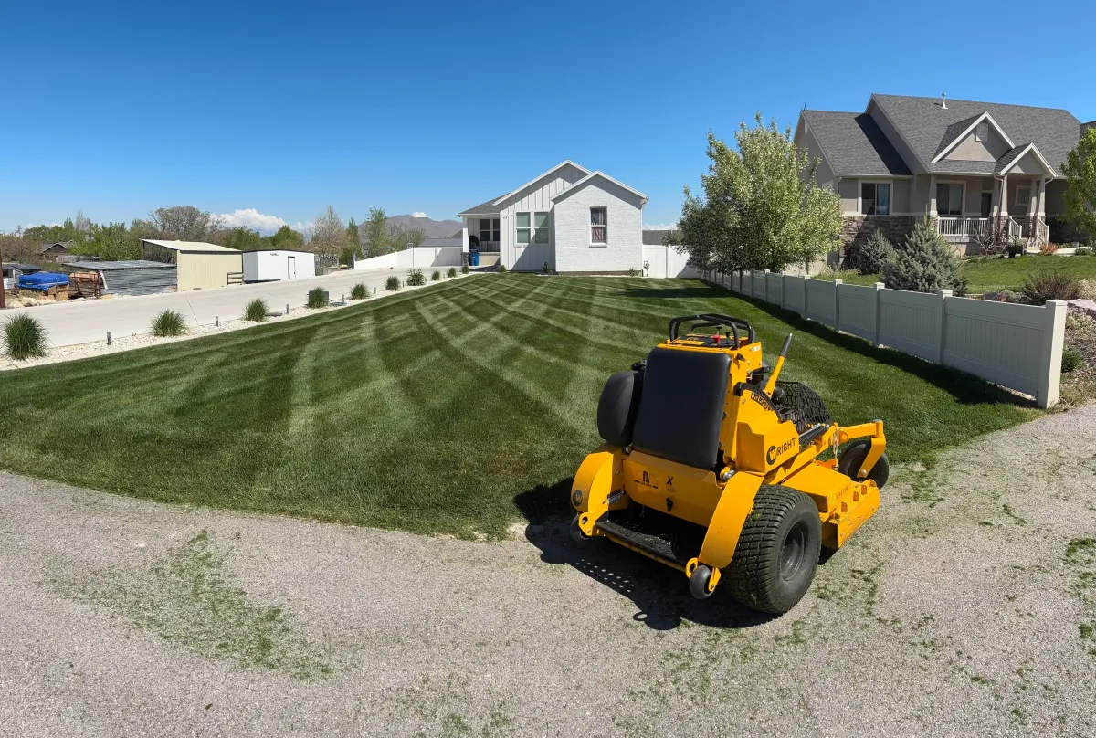 Pristine lawn showing perfect curb appeal