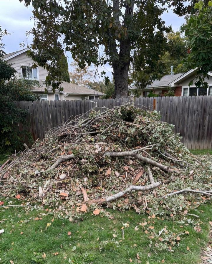 Pile of tree branches and yard debris ready for removal in Northwest Arkansas