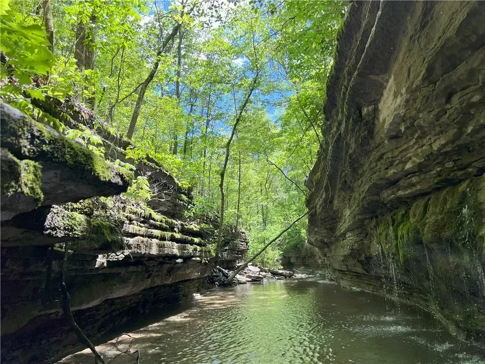 Wooded creek and limestone bluffs in the Garfield and Beaver Lake area of Northwest Arkansas