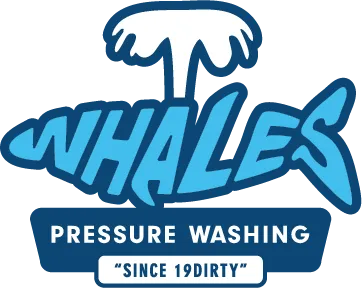 Pressure Washing
